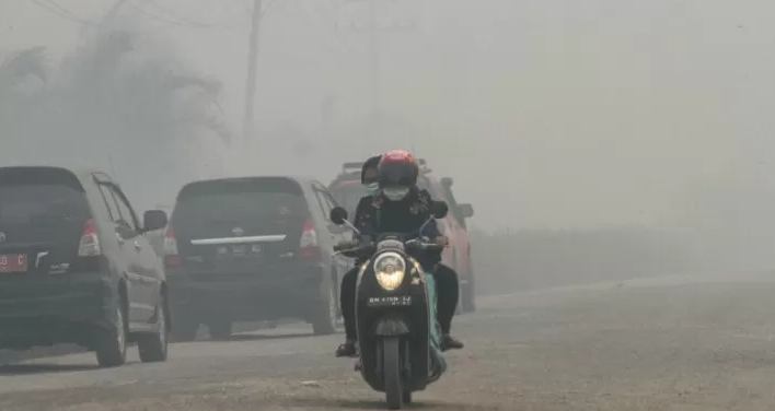 Solusi Islam untuk Bahaya Karhutla